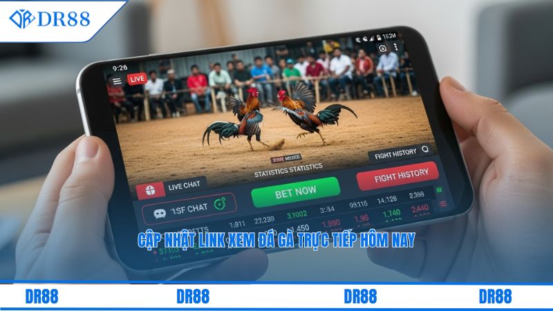 đá gà trực tiếp hôm nay