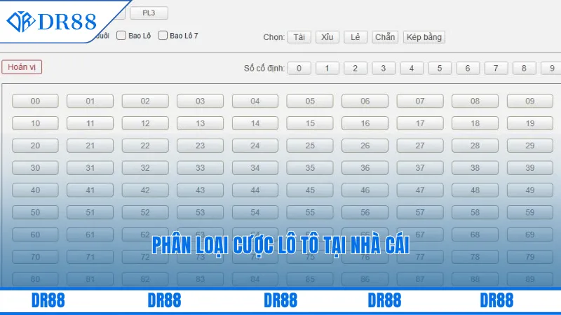 Phân loại cược lô tô tại nhà cái