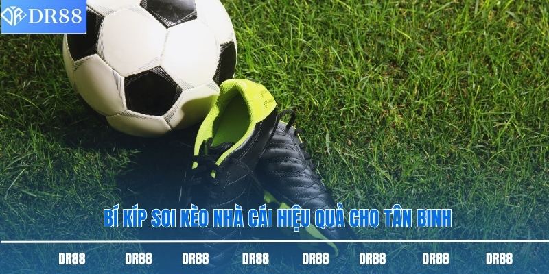 Bí kíp soi kèo nhà cái hiệu quả cho tân binh