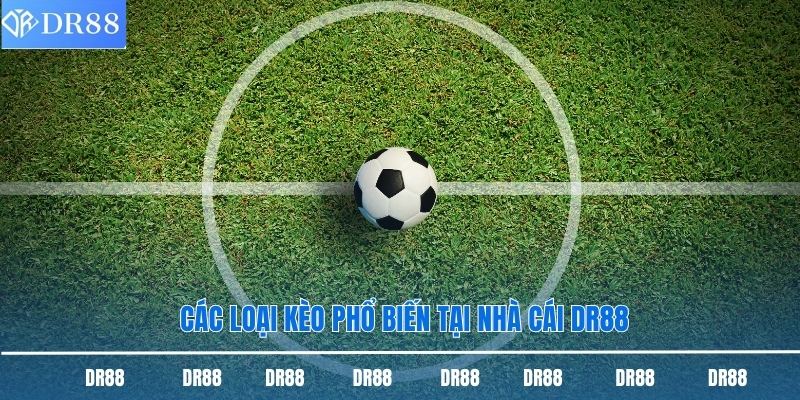 Các loại kèo phổ biến tại nhà cái DR88