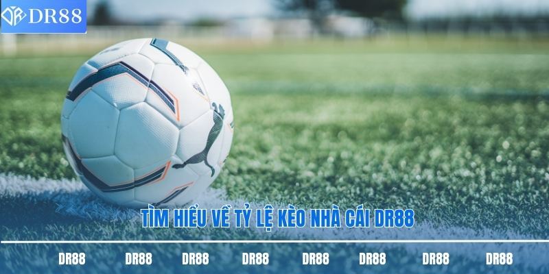 Tìm hiểu về tỷ lệ kèo nhà cái DR88